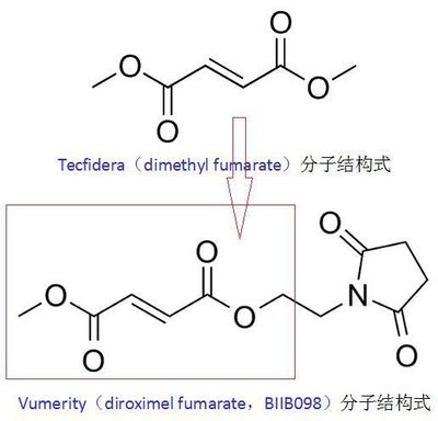 口服多发性硬化症新药!百健升级版产品VumerityIII期临床胃肠道耐受性显著优于Tecfidera